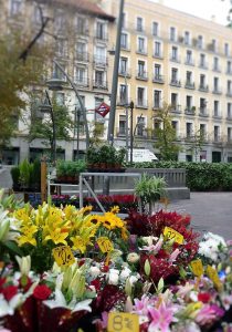 Alojamientos: Plaza de Tirso de Molina con ventas de flores