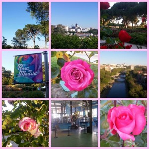 The Rose Garden Ramón Ortiz: views from the garden and the cableway