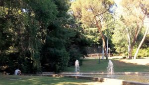 Madrid en été: le parc Campo del Moro