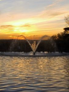 Madrid Quiz: fountain in front of the Debod Temple, in West Park, at sun set.