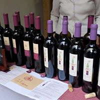 Madrid AOC: les vins de Madrid